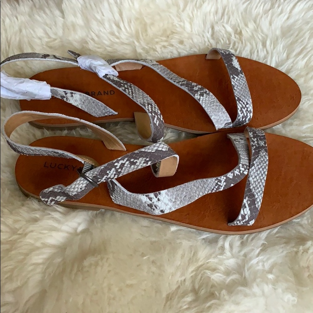 Lucky Brand Summer Sandals 😍